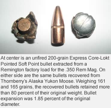 .35s That Survived