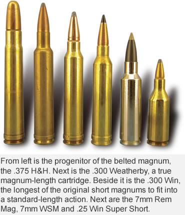 Short Magnums: A Flash in the Pan?