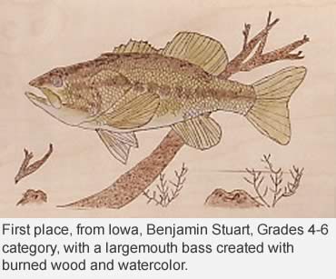 State Fish contest calling all young artists!