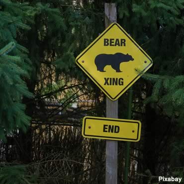 For bear basics, visit BearWise.org