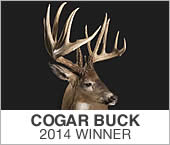 Cogar Buck