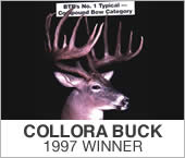 Collora Buck