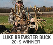 Brewster Buck