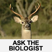 Ask The Biologist