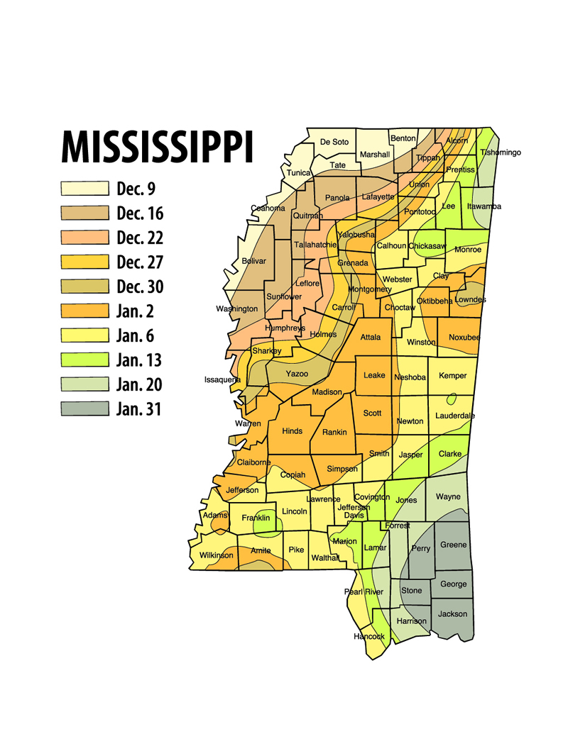 2020 Rut Maps