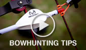 Bowhunting Tips