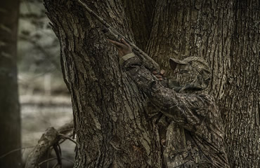 Introducing Realtree Timber