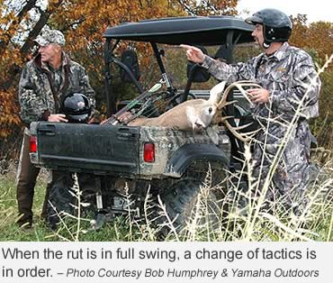 Hunting the Peak of Rut