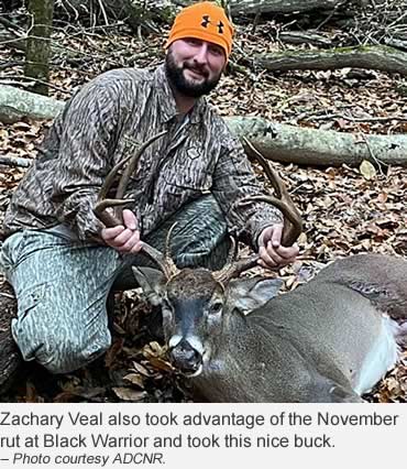 Public land provides a way to hunt rut all season