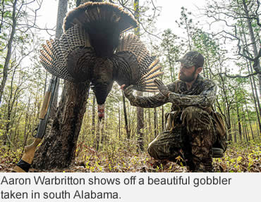 The Hunting Public matches wits with Alabama’s turkeys