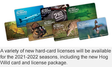Wild hog license available Aug. 30, new season updates