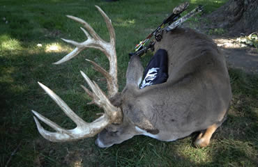 Dad's Buck