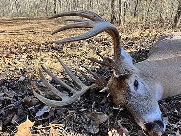 200-Inch State Record Taken on Fort Knox