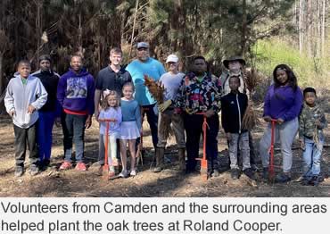 Mass planting oaks to help wounded warriors and wildlife