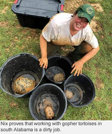 Shelton-Nix earns second USFWS conservation award