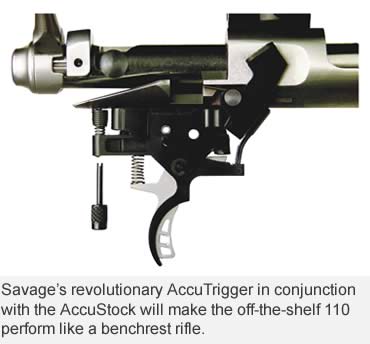 Savage's Accustock