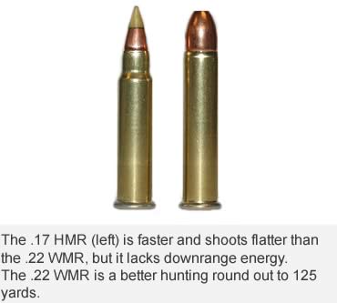 The Overlooked .22 WMR