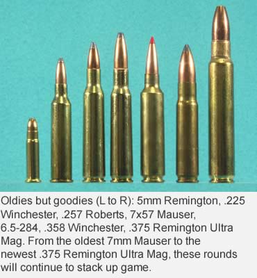 7 Cartridges that Never Made the Grade