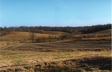 White Smoke and Winter Whitetails