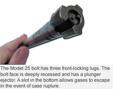 Savage Model 25 Lightweight Varmint Rifle