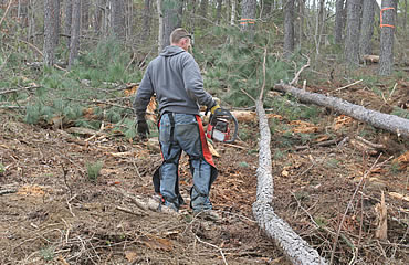 Why Food Plots Fail