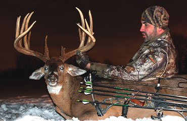 Roving Whitetail Chooses Wrong Zip Code