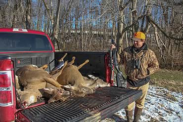 Counting Bucks