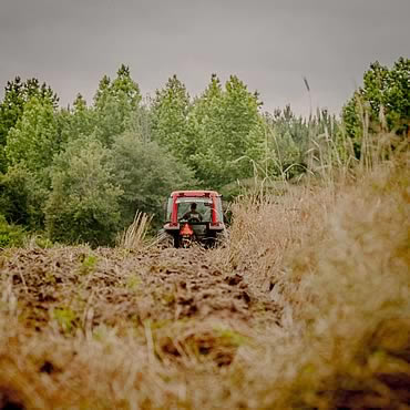 Soil Basics