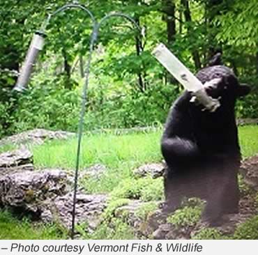 Be Bear Aware this Spring