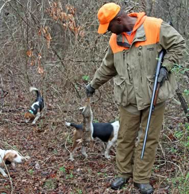 A fresh look at the art of rabbit hunting