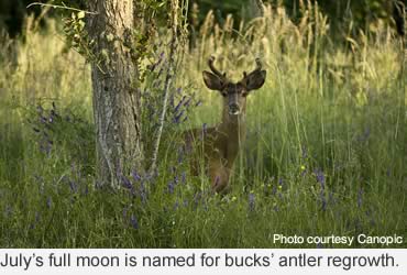 See July’s Full Buck Moon, and check out the new moon map