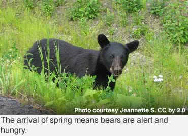 Prepare for spring bears!
