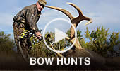 Bow Hunts