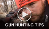 Gun Hunting Tips